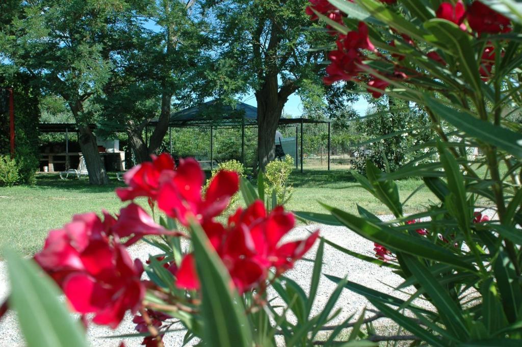 Casa Vacanze Guardamare San Vincenzo Bagian luar foto
