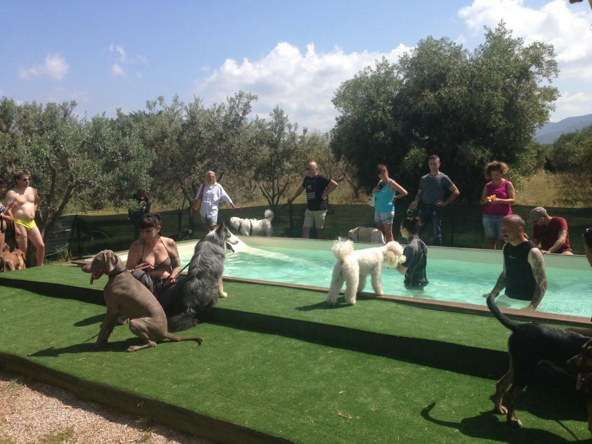 Casa Vacanze Guardamare San Vincenzo Bagian luar foto