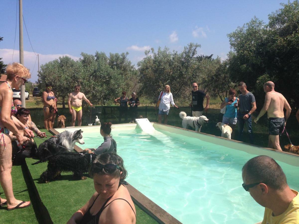 Casa Vacanze Guardamare San Vincenzo Bagian luar foto